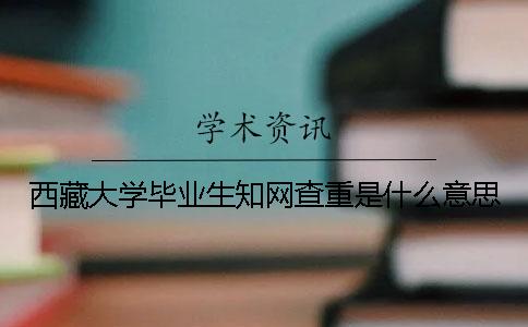 西藏大學畢業生知網查重是什么意思